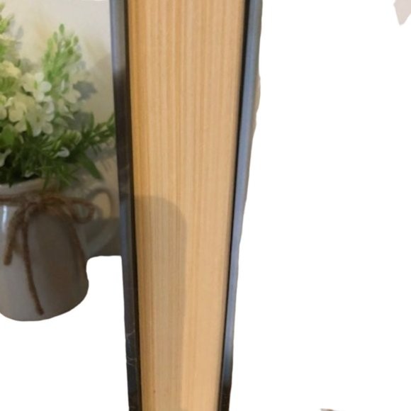 Maximum Ride: The Angel Experiment Book by James Patterson - Picture 4 of 5